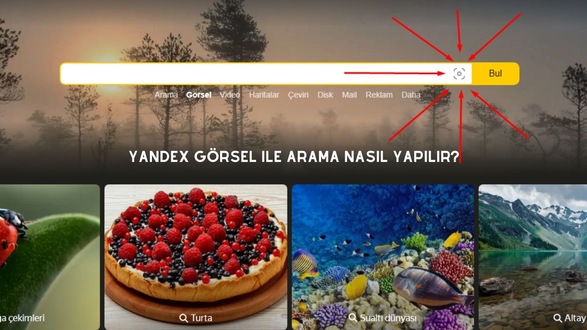 Yandex Görsel İle Arama Nasıl Yapılır?